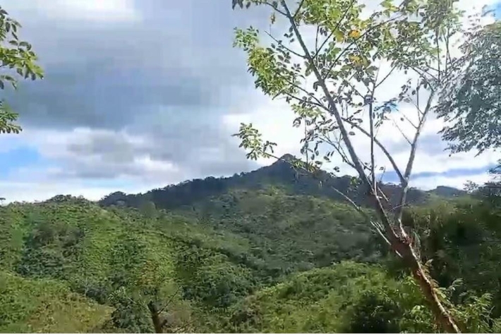 Farming Property - Land for sale in Ocu, Herrera, Panama | Panama Realtor