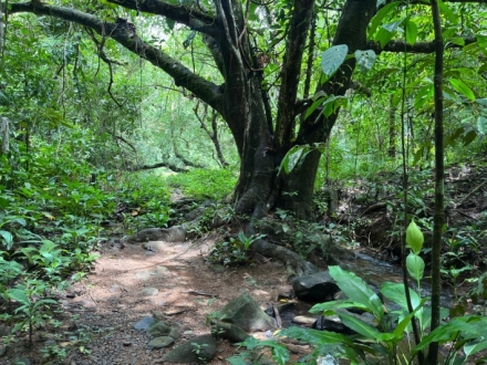 Terreno/Granja